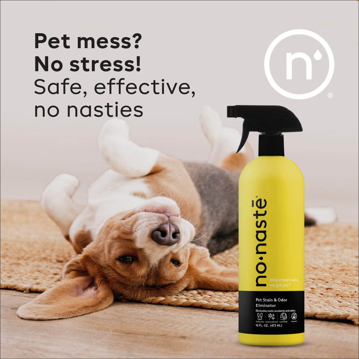 Pet Stain & Odor Eliminator